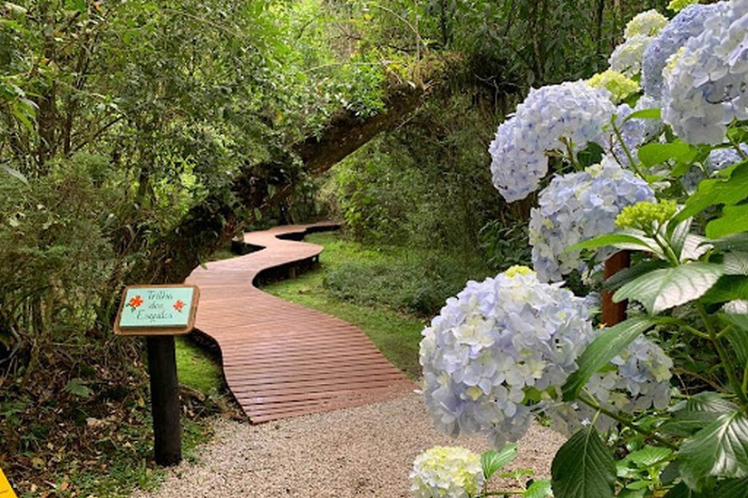 Bosque do Silencio Campos do Jordao